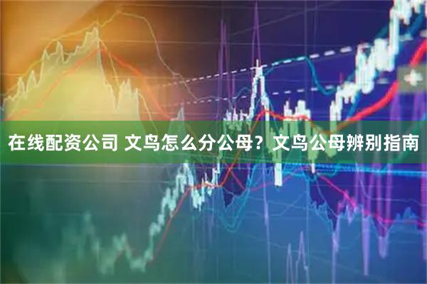 在线配资公司 文鸟怎么分公母？文鸟公母辨别指南