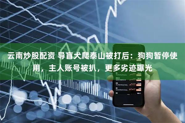 云南炒股配资 导盲犬爬泰山被打后：狗狗暂停使用，主人账号被扒，更多劣迹曝光