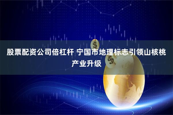 股票配资公司倍杠杆 宁国市地理标志引领山核桃产业升级