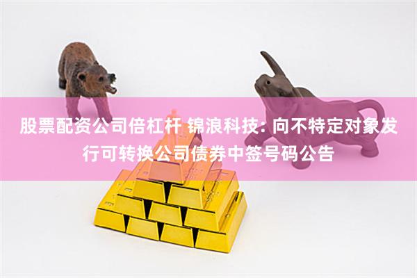 股票配资公司倍杠杆 锦浪科技: 向不特定对象发行可转换公司债券中签号码公告