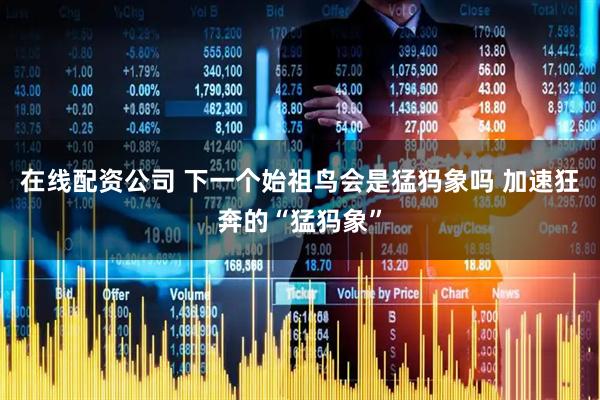 在线配资公司 下一个始祖鸟会是猛犸象吗 加速狂奔的“猛犸象”