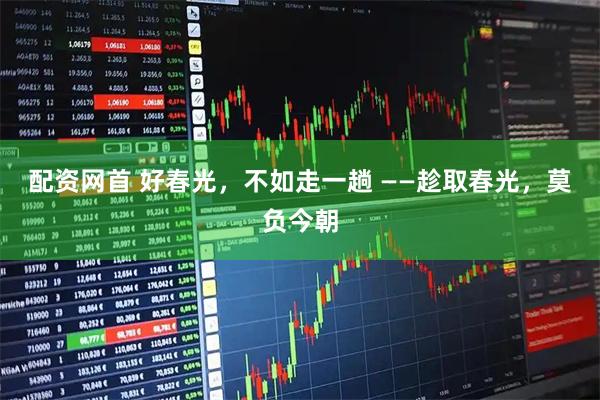配资网首 好春光,不如走一趟 ——趁取春光,莫负今朝